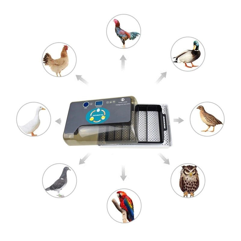 Berta 12 Campo24 Inkubator Incubator Brutmaschine Brutapparat Motorbrueter