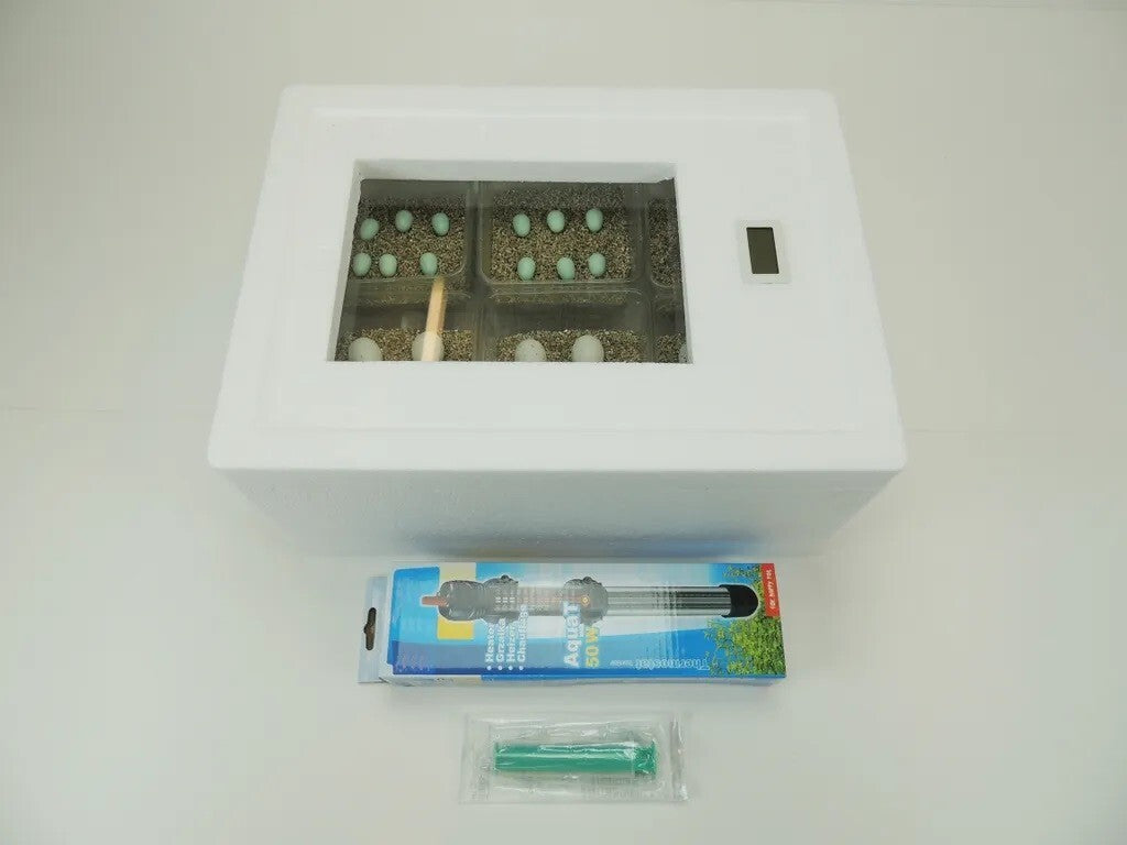 Campo24 Reptilieninkubator ST2 – Brutkasten für Reptilien & Amphibien | Kunstbrut, Digitalthermometer, bis zu 48 Eier