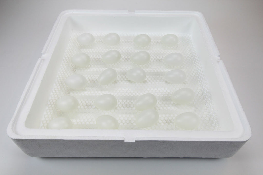 Motorbrüter, Brutapparat, Inkubator, Brutmaschine, Brüter