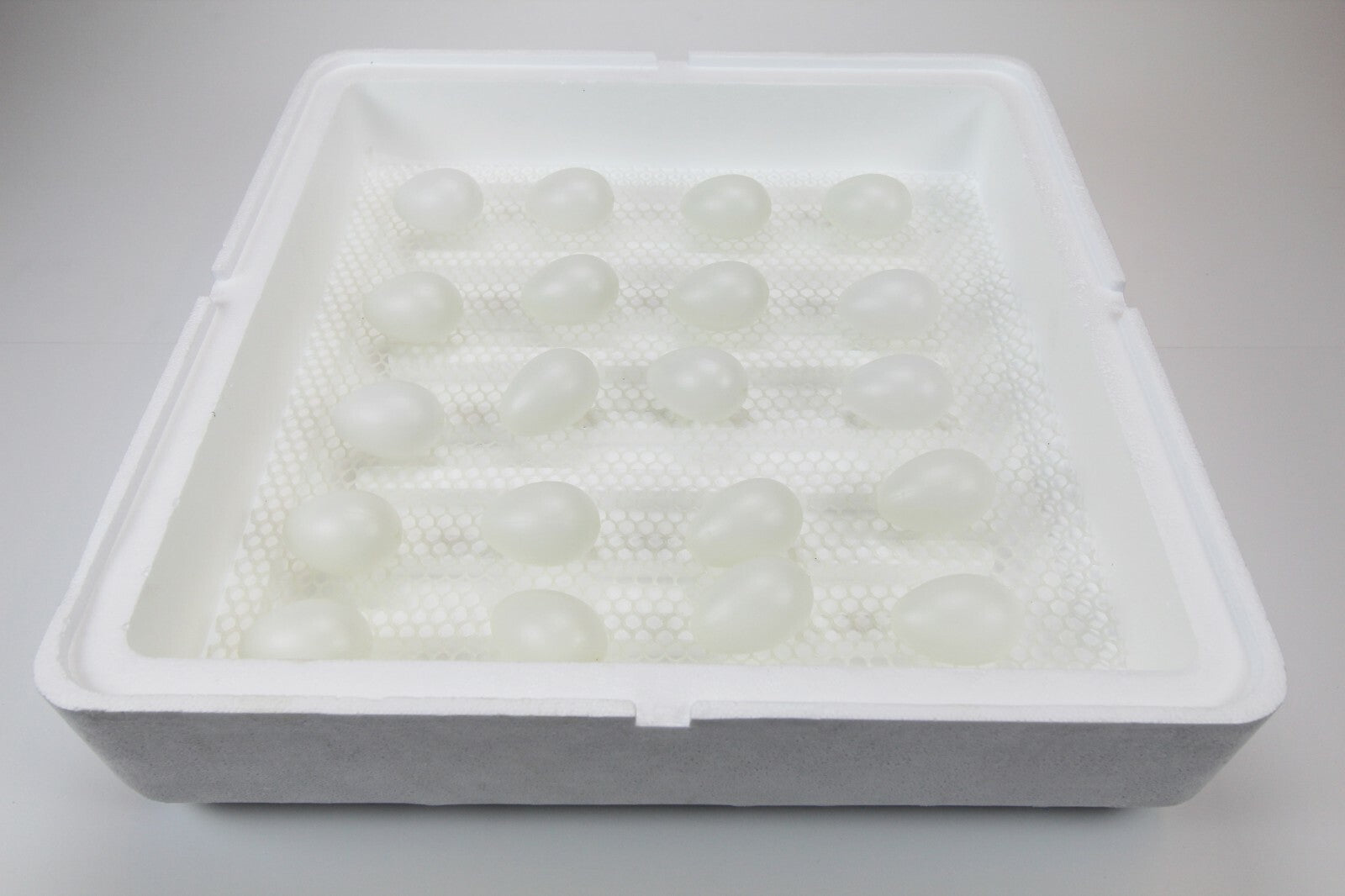 Motorbrüter, Brutapparat, Inkubator, Brutmaschine, Brüter