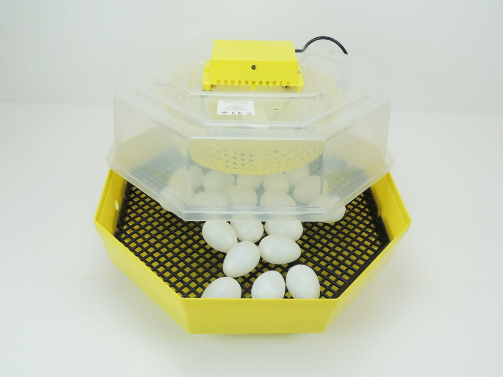 Motorbrüter, Brutapparat, Inkubator, Brutmaschine, Brüter