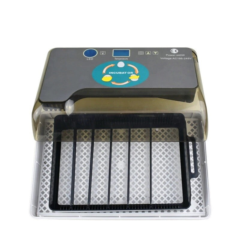 Berta 12 Campo24 Inkubator Incubator Brutmaschine Brutapparat Motorbrueter