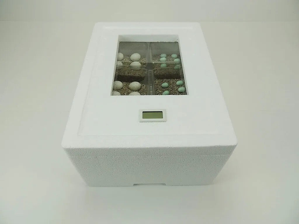 Campo24 Reptilieninkubator ST3 – Brutkasten für Reptilien & Amphibien | Kunstbrut, Thermometer-Hygrometer, bis zu 48 Eier