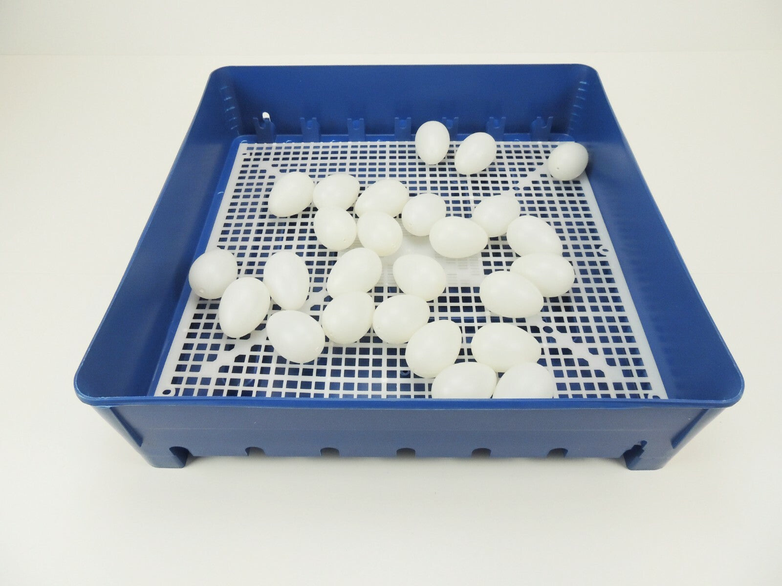 Motorbrüter, Brutapparat, Inkubator, Brutmaschine, Brüter