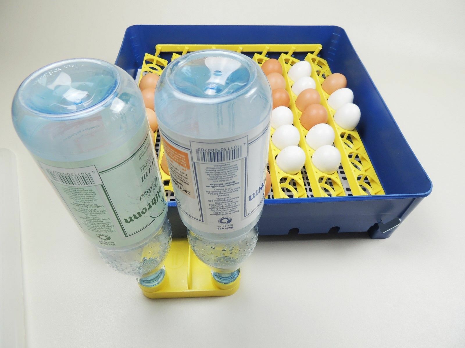 Campo24 Markenware GW® Inkubator Brutkasten Brutmaschine Brutapparat