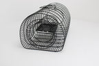 Campo24 Rattenfalle Kastenfalle Lebendfalle Drahtkasten–40x24x21cm, sicherer Einlauf