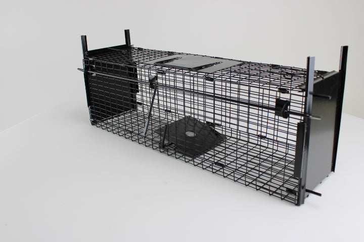 Campo24 Marderfalle Kastenfalle Lebendfalle Drahtkasten-60x18x20cm, doppelter Einlauf