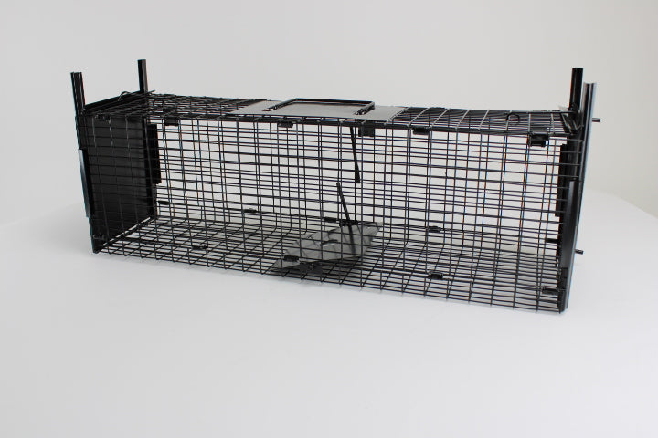 Campo24 Marderfalle Kastenfalle Lebendfalle Drahtkasten-60x18x20cm, doppelter Einlauf