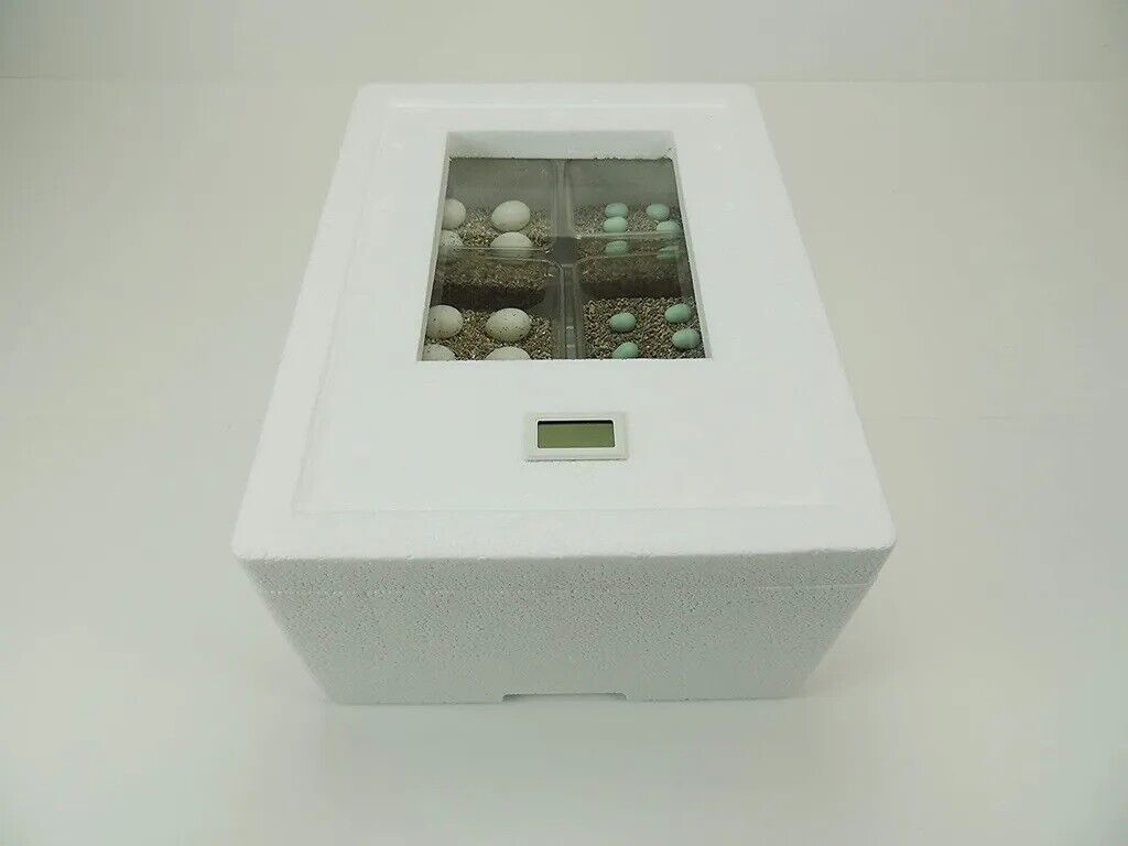 Campo24 Reptilieninkubator ST3 – Brutkasten für Reptilien & Amphibien | Kunstbrut, Thermometer-Hygrometer, bis zu 48 Eier